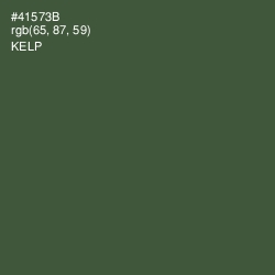 #41573B - Kelp Color Image