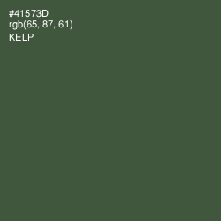 #41573D - Kelp Color Image