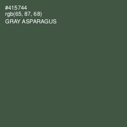 #415744 - Gray Asparagus Color Image