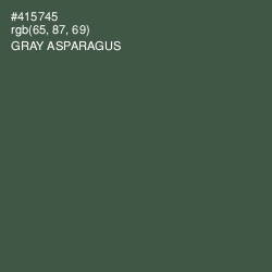 #415745 - Gray Asparagus Color Image