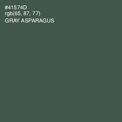 #41574D - Gray Asparagus Color Image