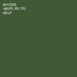 #415935 - Kelp Color Image