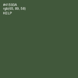 #41593A - Kelp Color Image