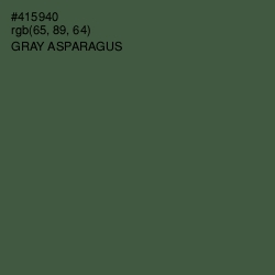 #415940 - Gray Asparagus Color Image