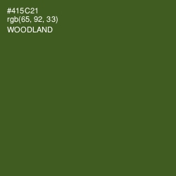 #415C21 - Woodland Color Image