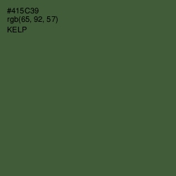 #415C39 - Kelp Color Image