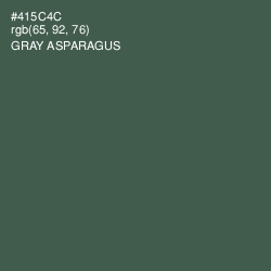 #415C4C - Gray Asparagus Color Image