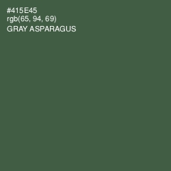 #415E45 - Gray Asparagus Color Image