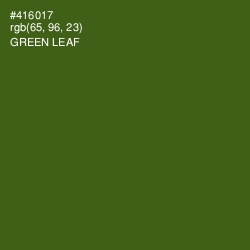 #416017 - Green Leaf Color Image