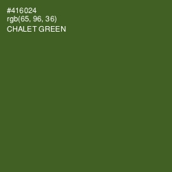 #416024 - Chalet Green Color Image