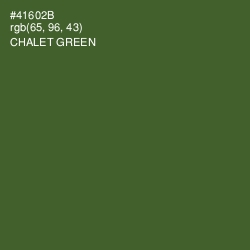 #41602B - Chalet Green Color Image