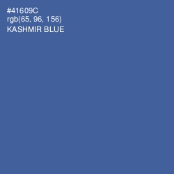 #41609C - Kashmir Blue Color Image