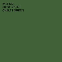 #416139 - Chalet Green Color Image