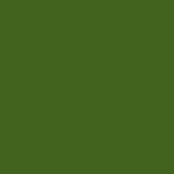 #41631D - Green Leaf Color Image