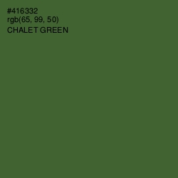 #416332 - Chalet Green Color Image