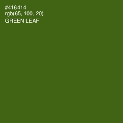 #416414 - Green Leaf Color Image