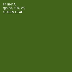 #41641A - Green Leaf Color Image