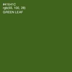 #41641C - Green Leaf Color Image