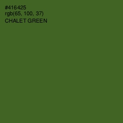 #416425 - Chalet Green Color Image