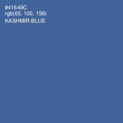#41649C - Kashmir Blue Color Image