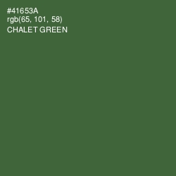 #41653A - Chalet Green Color Image