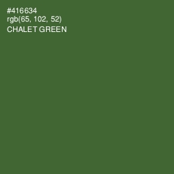 #416634 - Chalet Green Color Image