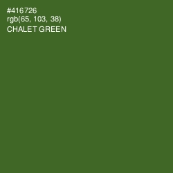 #416726 - Chalet Green Color Image