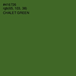 #416726 - Chalet Green Color Image