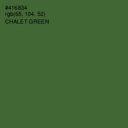 #416834 - Chalet Green Color Image