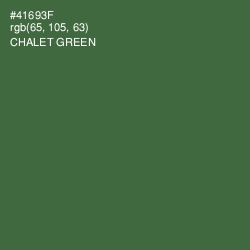 #41693F - Chalet Green Color Image