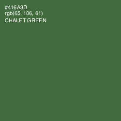 #416A3D - Chalet Green Color Image