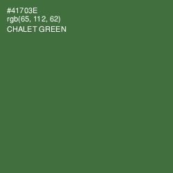 #41703E - Chalet Green Color Image