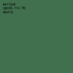 #41704E - Fern Green Color Image