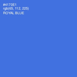 #4170E1 - Royal Blue Color Image