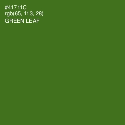 #41711C - Green Leaf Color Image