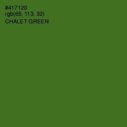 #417120 - Chalet Green Color Image