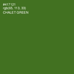 #417121 - Chalet Green Color Image