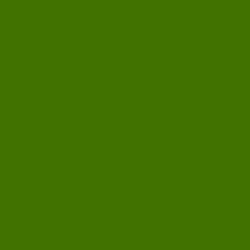 #417200 - Green Leaf Color Image