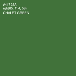 #41723A - Chalet Green Color Image