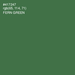 #417247 - Fern Green Color Image