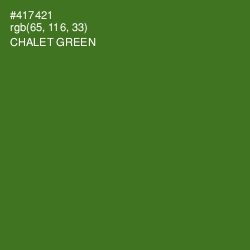 #417421 - Chalet Green Color Image