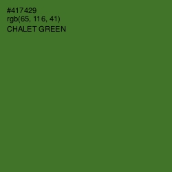 #417429 - Chalet Green Color Image