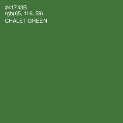 #41743B - Chalet Green Color Image