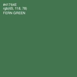 #41764E - Fern Green Color Image