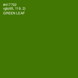 #417702 - Green Leaf Color Image