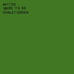 #417722 - Chalet Green Color Image