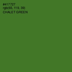 #417727 - Chalet Green Color Image