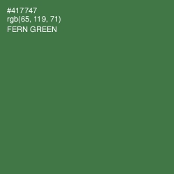 #417747 - Fern Green Color Image