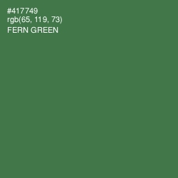 #417749 - Fern Green Color Image