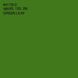 #41781C - Green Leaf Color Image